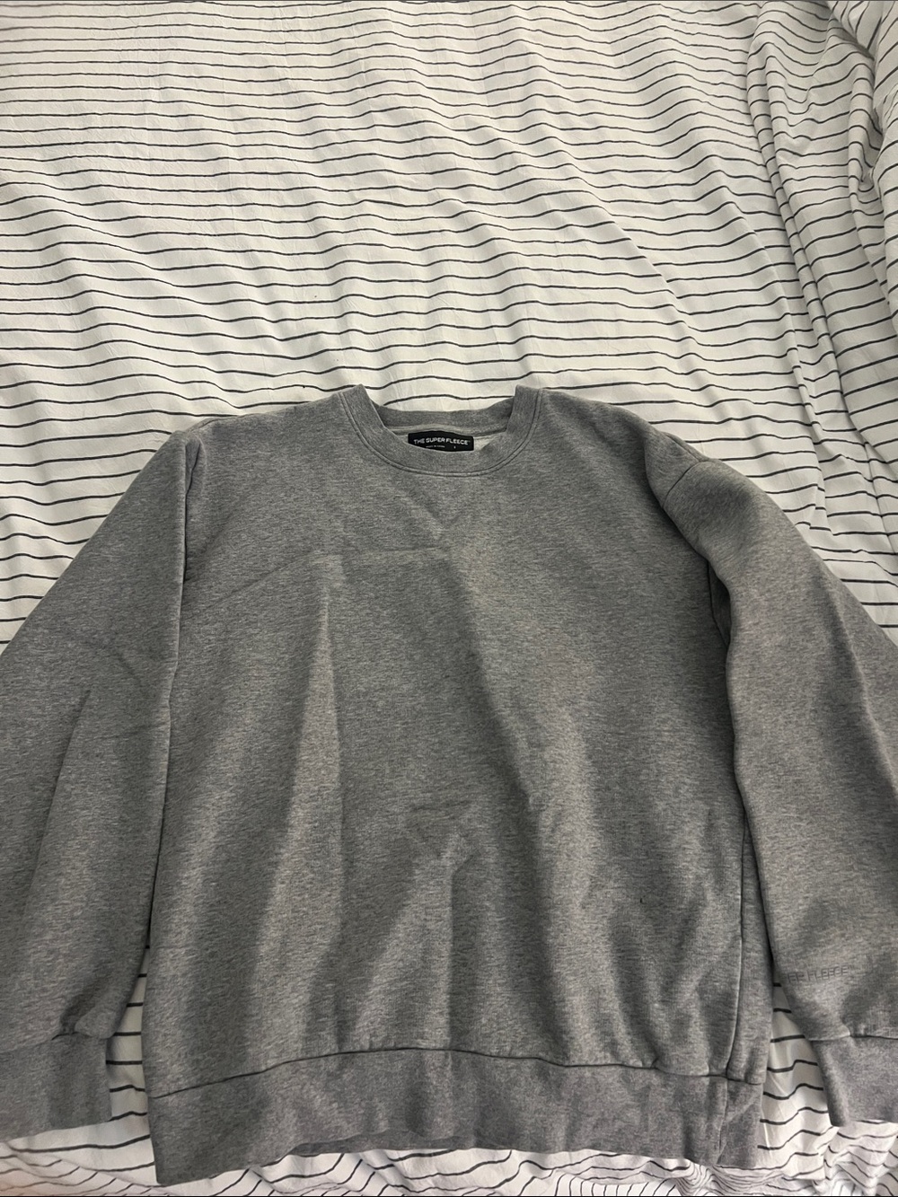 Aritzia Heather Gray Crew Sweatshirt